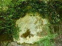 2018-09-17 11-36-56 Rando Combas MBo